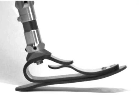 微型切片技術(shù)碳纖儲(chǔ)能假腳