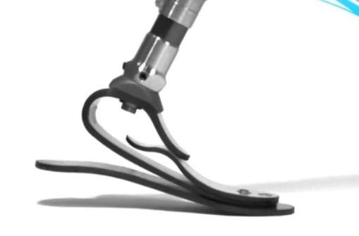 微型切片技術(shù)碳纖儲(chǔ)能假腳